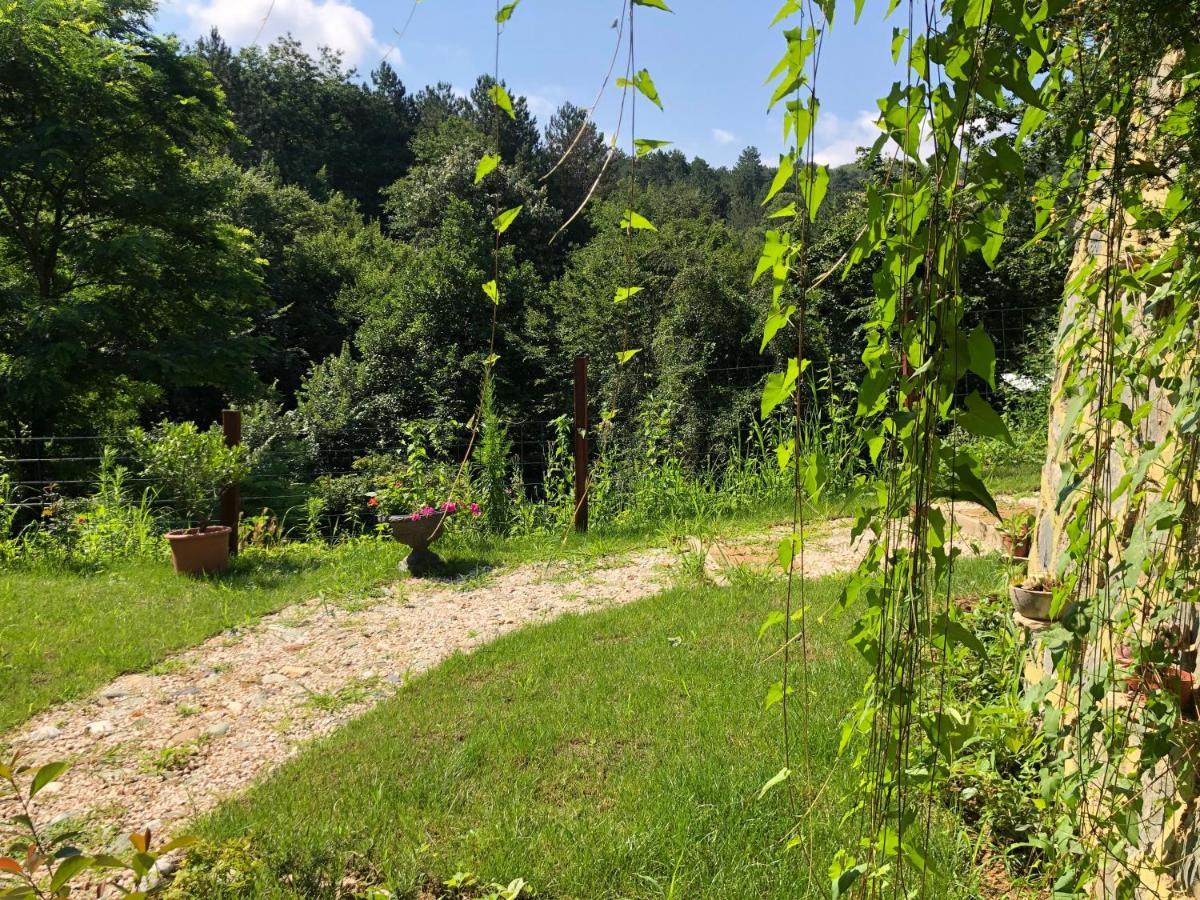 Happyhobbit Forest, Lake View, Fireplace , Jakuzi ,In Sapanca Exterior photo